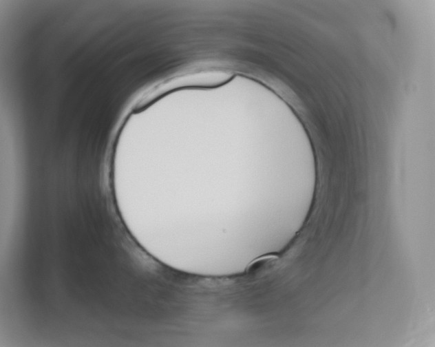 X0000111190912200907291201