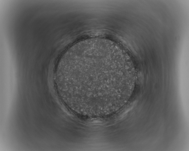 X0000111190913200907291200