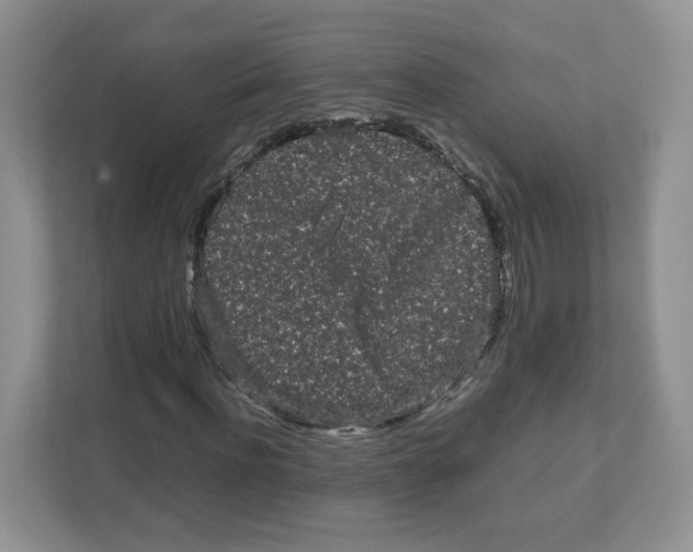 X0000111190916200907291200