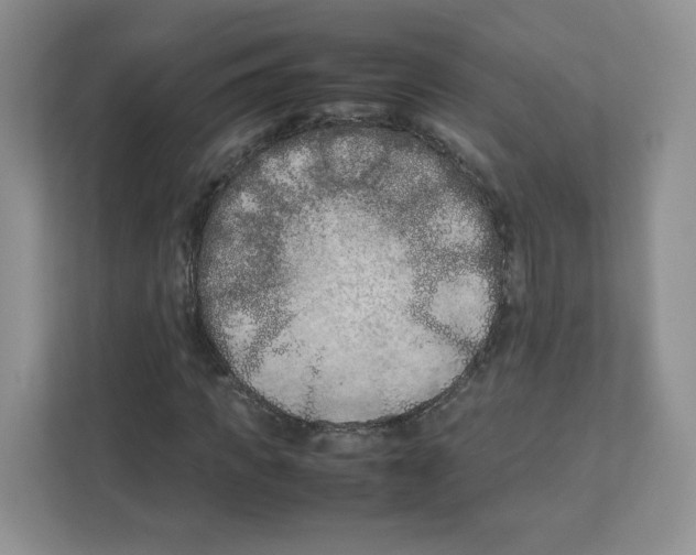 X0000111190917200907291200