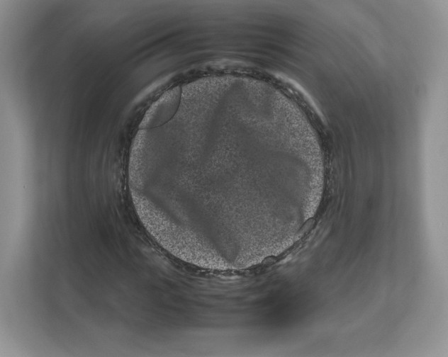 X0000111190919200907291200