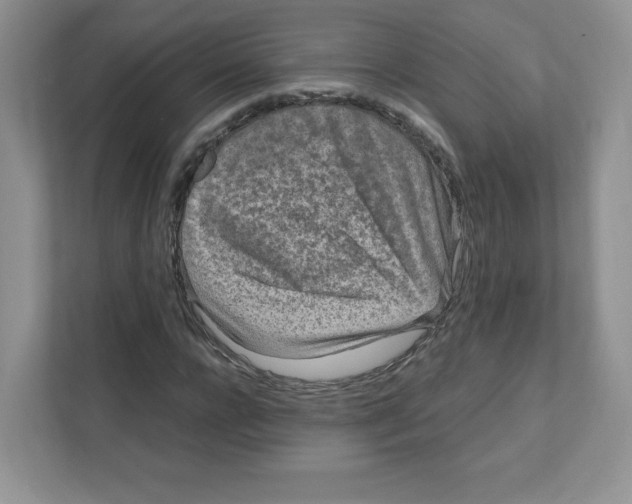 X0000111190920200907291200
