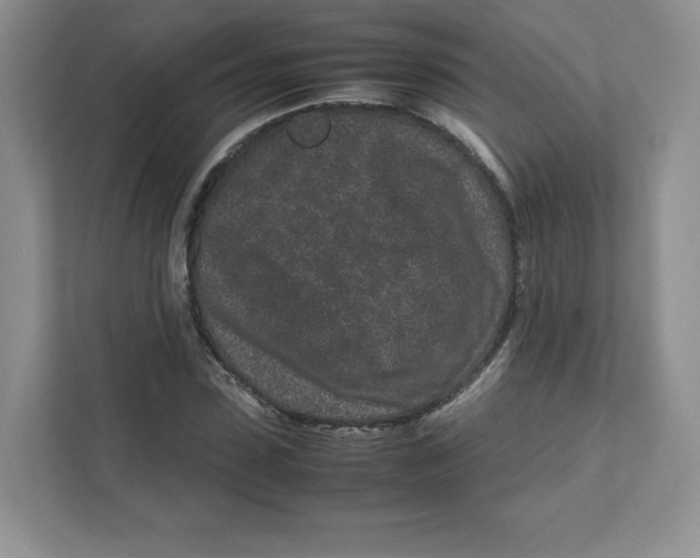 X0000111190923200907291200