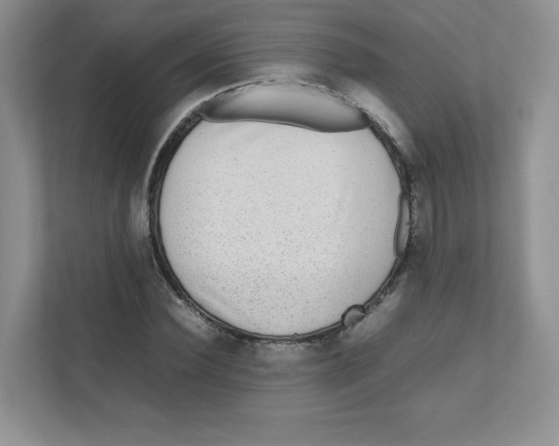 X0000111190924200907291200