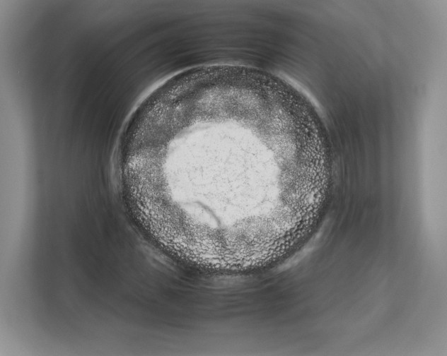 X0000111190925200907291200