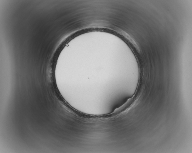 X0000111190926200907291200