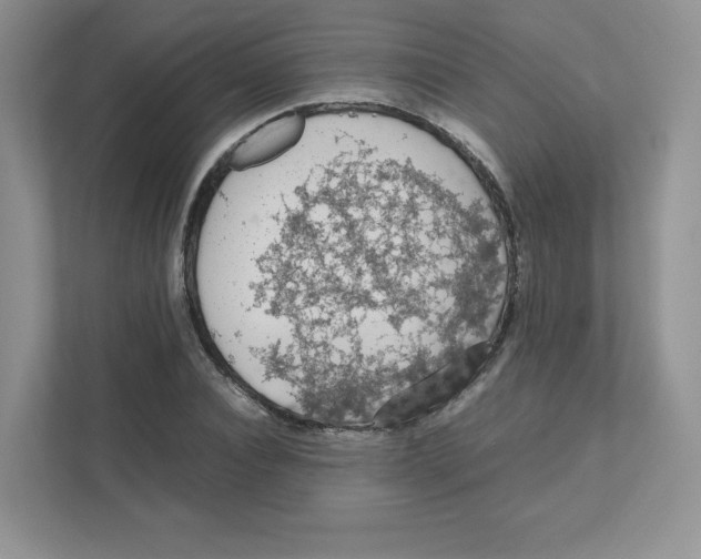 X0000111190928200907291200