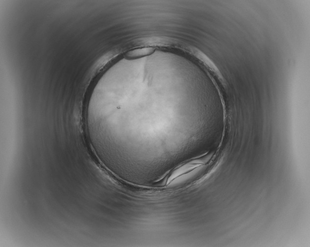 X0000111190930200907291200