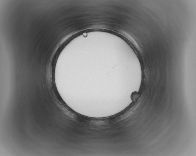 X0000111190931200907291200