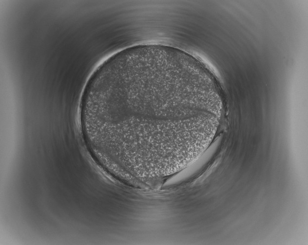 X0000111190932200907291200