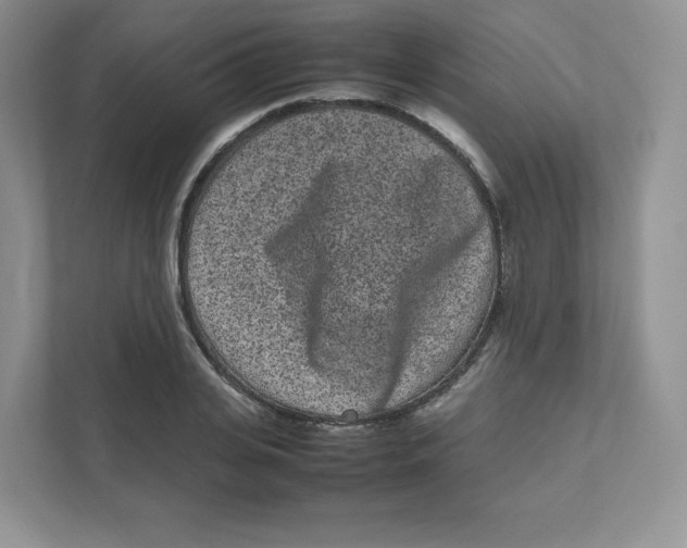 X0000111190935200907291200