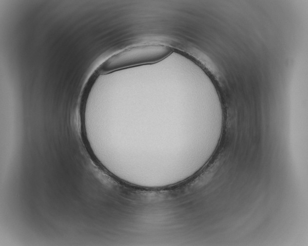 X0000111190936200907291200