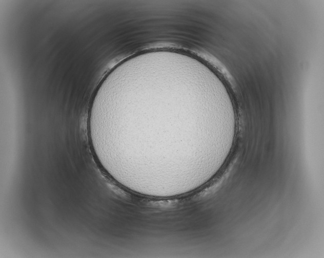 X0000111190937200907291200