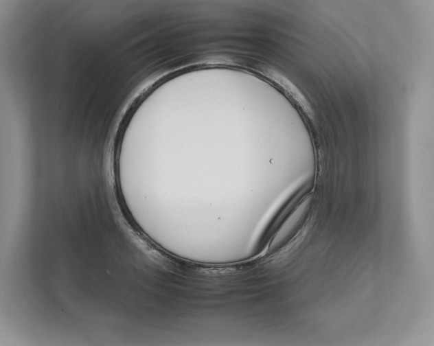 X0000111190939200907291200