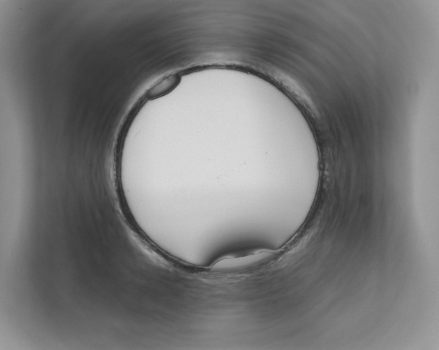 X0000111190942200907291200