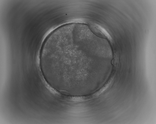 X0000111190944200907291201