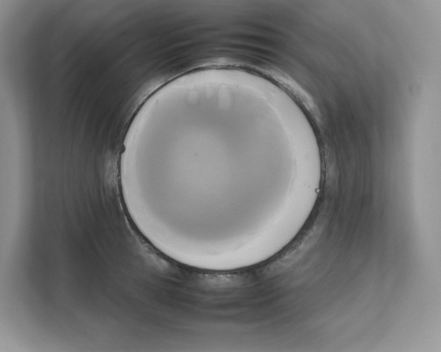 X0000111190945200907291201