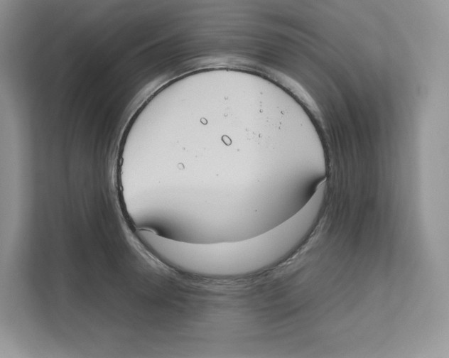 X0000111190946200907291201