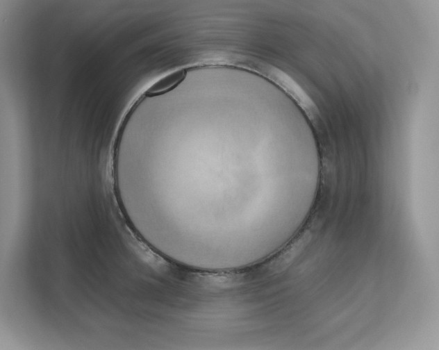 X0000111190948200907291201