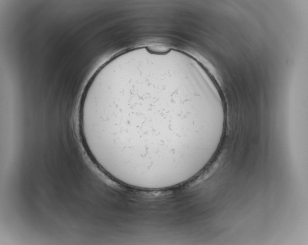 X0000111190949200907291201