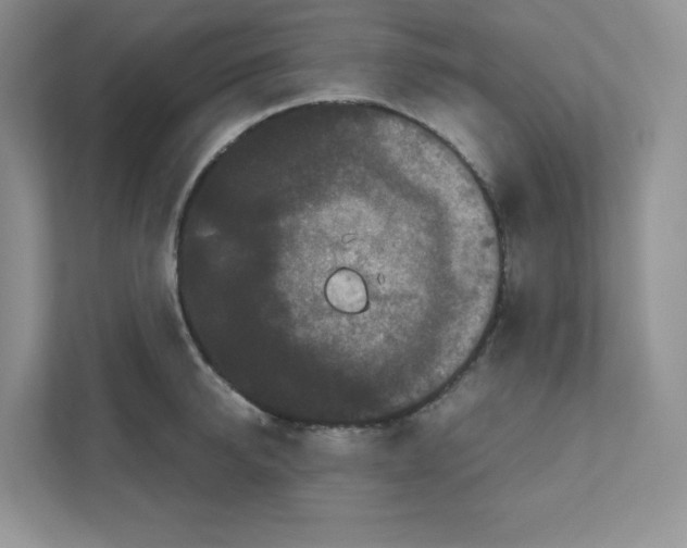 X0000111190950200907291201