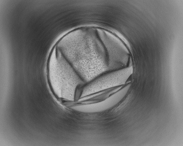 X0000111190951200907291201