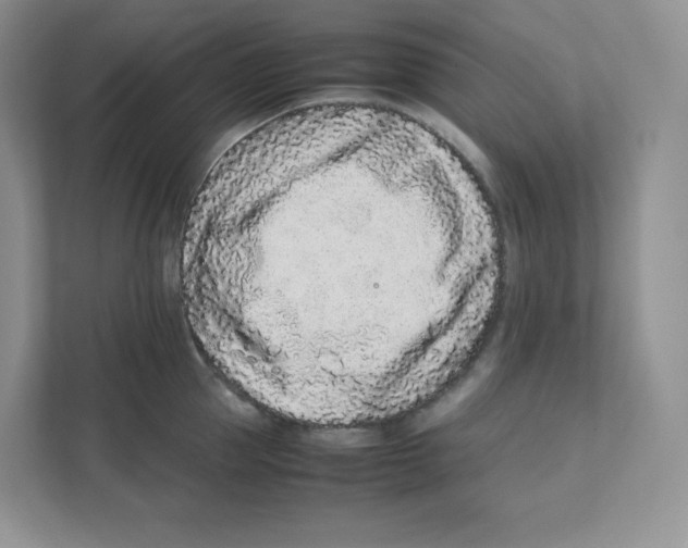 X0000111190953200907291201
