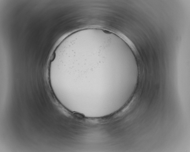 X0000111190956200907291201