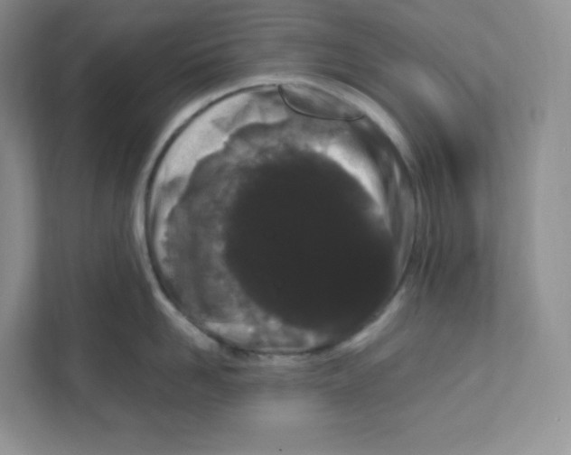 X0000111190958200907291201