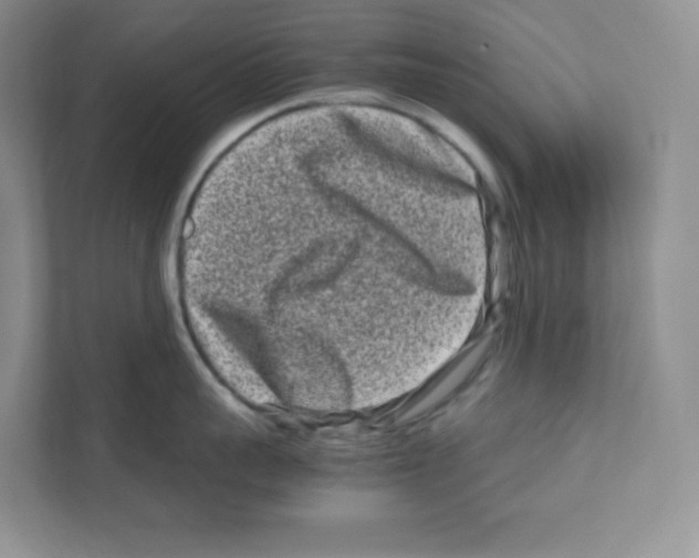 X0000111190959200907291201