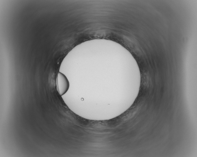 X0000111190962200907291200