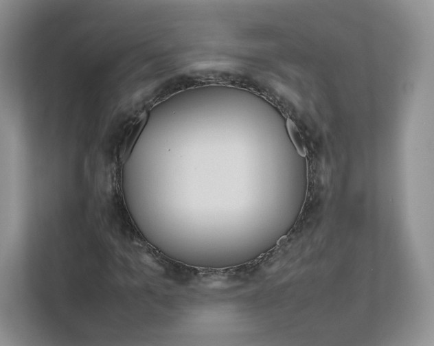 X0000111190965200907291200