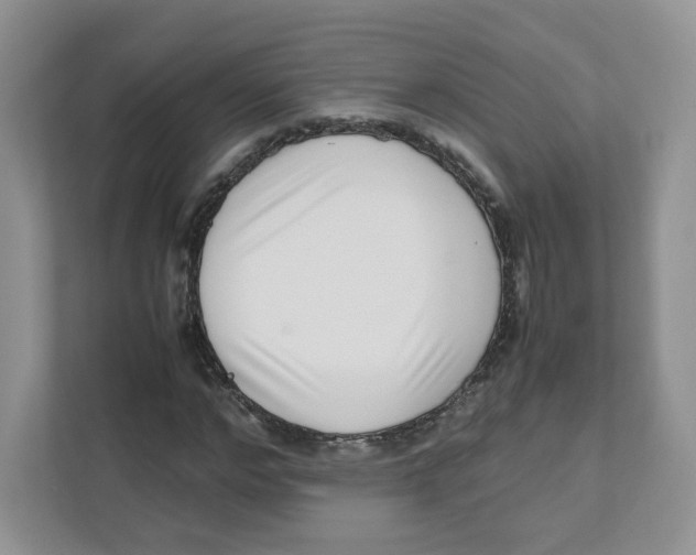 X0000111190968200907291200