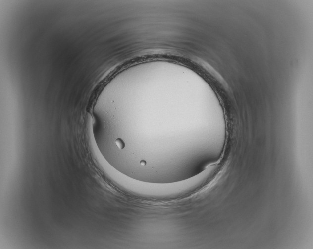 X0000111190969200907291200
