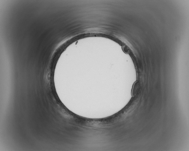 X0000111190971200907291200