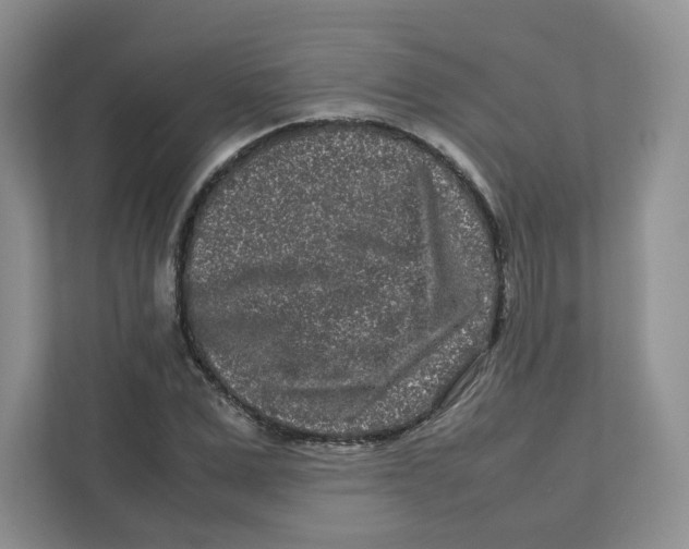 X0000111190975200907291200