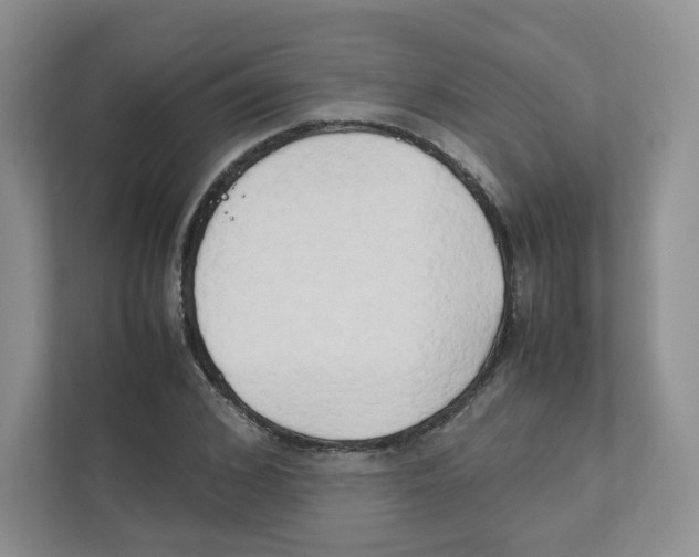 X0000111190976200907291200