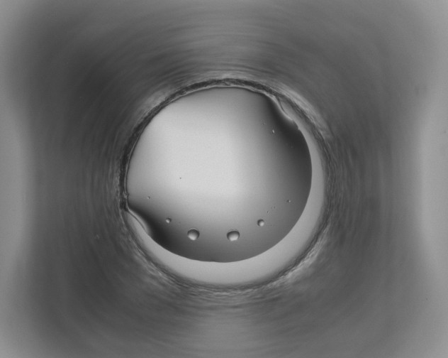 X0000111190977200907291200