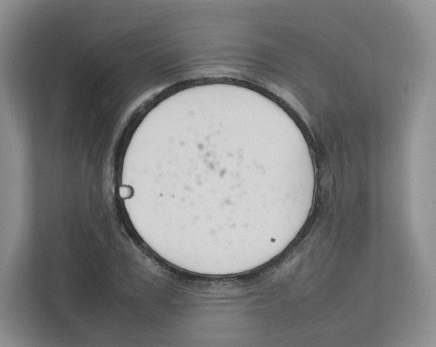 X0000111190979200907291200