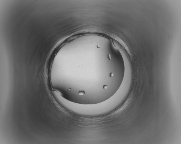 X0000111190981200907291200