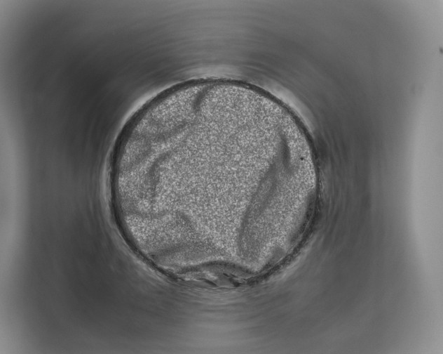 X0000111190983200907291200