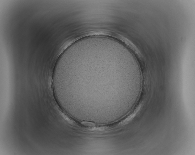 X0000111190985200907291200