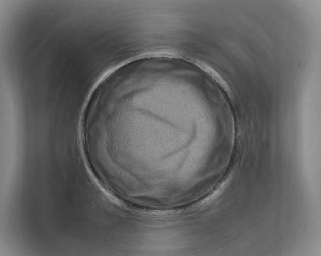 X0000111190989200907291200