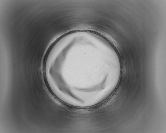 X0000111190990200907291200