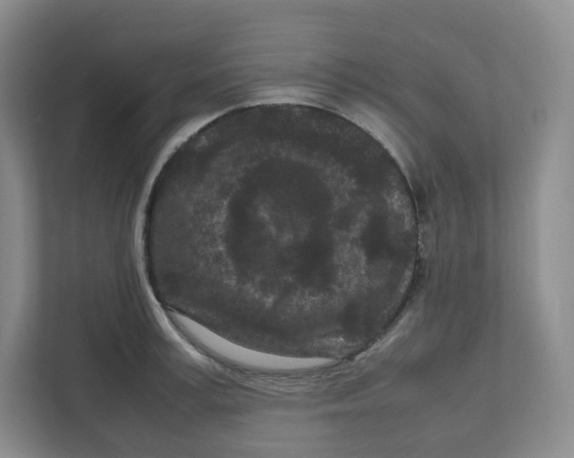 X0000111190995200907291200