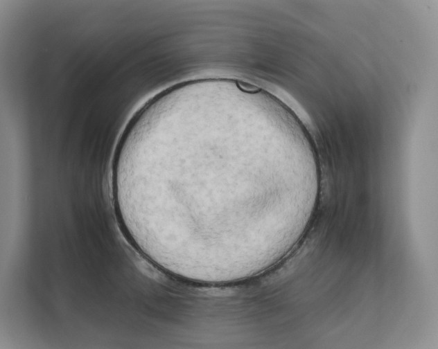 X0000111190996200907291200