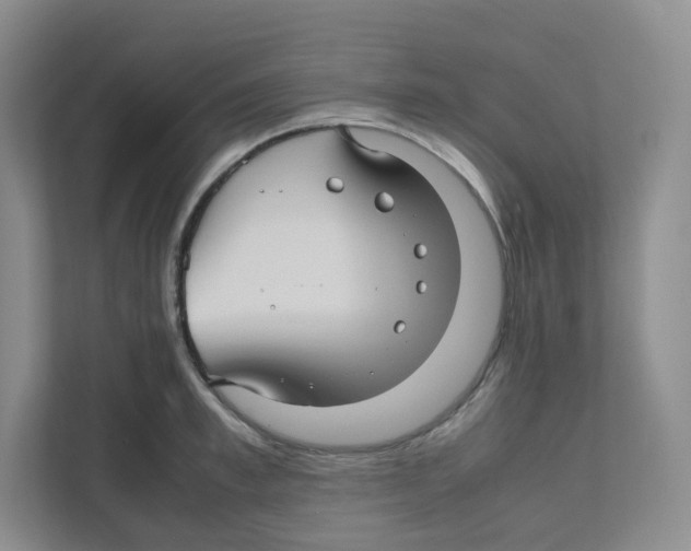 X0000111190997200907291200
