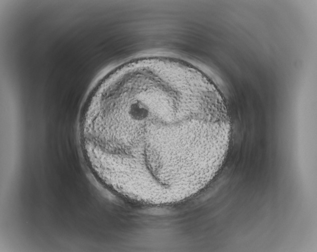X0000111190998200907291200
