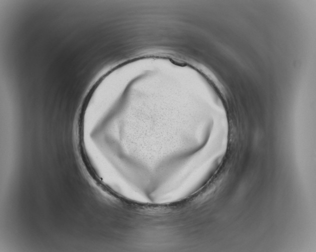 X0000111190999200907291200