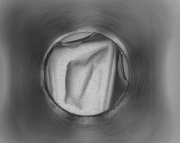 X0000111191000200907291200